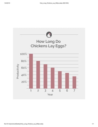 12/4/2019 How_Long_Chickens_Lay_600px.webp (600×594)
file:///C:/Users/sirca/Desktop/How_Long_Chickens_Lay_600px.webp 1/1
 