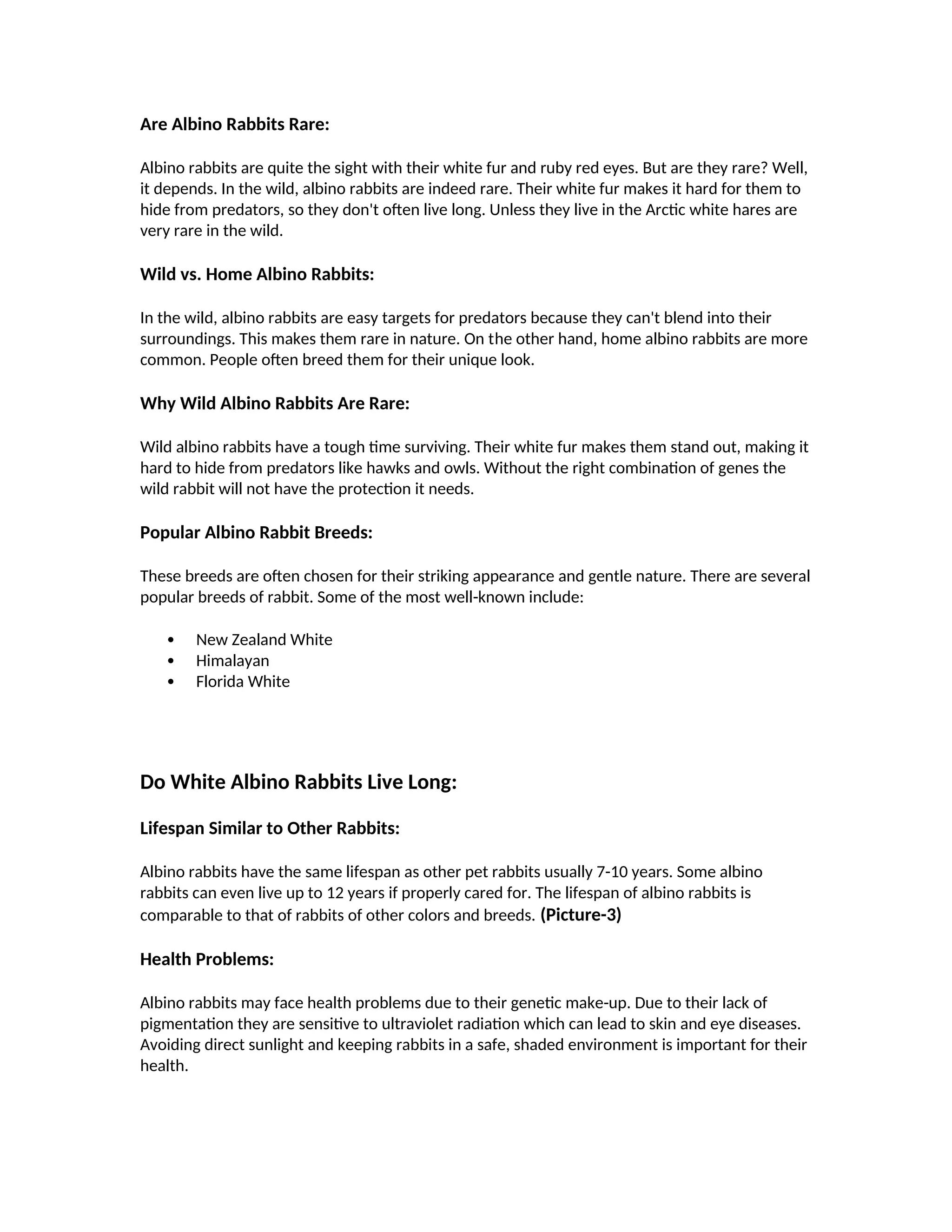 How Long do Albino Rabbits Live: Lifespan of Albino Rabbit Breed | PDF