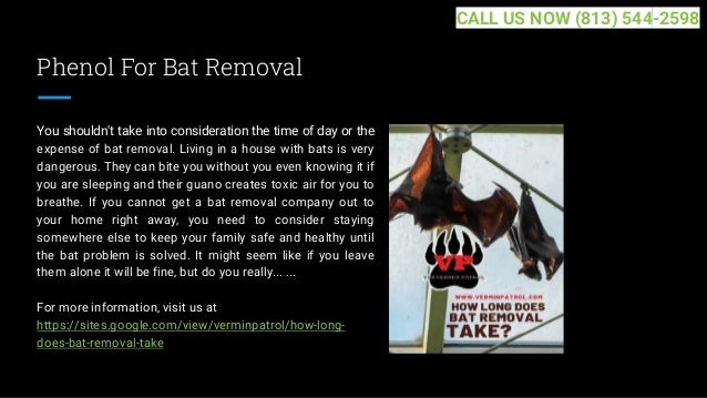 Phenol For Bat Removal
You shouldn't take into consideration the time of day or the
expense of bat removal. Living in a house with bats is very
dangerous. They can bite you without you even knowing it if
you are sleeping and their guano creates toxic air for you to
breathe. If you cannot get a bat removal company out to
your home right away, you need to consider staying
somewhere else to keep your family safe and healthy until
the bat problem is solved. It might seem like if you leave
them alone it will be fine, but do you really... ...
For more information, visit us at
https://sites.google.com/view/verminpatrol/how-long-
does-bat-removal-take
CALL US NOW (813) 544-2598
 