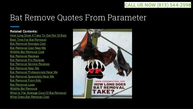 Bat Remove Quotes From Parameter
Related Contents:
How Long Does It Take To Get Rid Of Bats
Best Time For Bat Removal
Bat Removal Average Cost
Bat Removal Cost Near Me
Wildlife Bat Removal Cost
Bat Removal Reviews
Bat Removal Pro Reviews
Bat Removal Service Reviews
Bat Removal Near Me
Bat Removal Professionals Near Me
Bat Removal Specialists Near Me
Bat Removal From Attic
Bat Removal Laws
Wildlife Bat Removal
What Is The Average Cost Of Bat Removal
What Does Bat Removal Cost
CALL US NOW (813) 544-2598
 