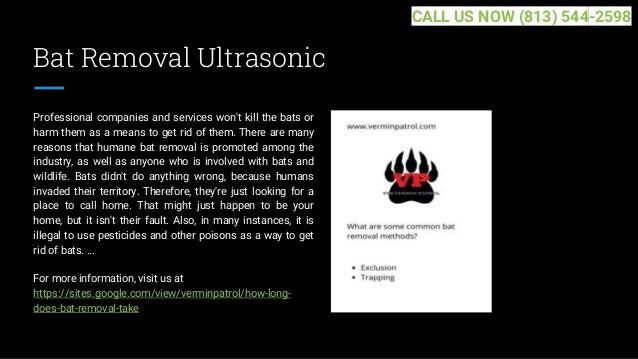 Bat Removal Ultrasonic
Professional companies and services won't kill the bats or
harm them as a means to get rid of them. There are many
reasons that humane bat removal is promoted among the
industry, as well as anyone who is involved with bats and
wildlife. Bats didn't do anything wrong, because humans
invaded their territory. Therefore, they're just looking for a
place to call home. That might just happen to be your
home, but it isn't their fault. Also, in many instances, it is
illegal to use pesticides and other poisons as a way to get
rid of bats. ...
For more information, visit us at
https://sites.google.com/view/verminpatrol/how-long-
does-bat-removal-take
CALL US NOW (813) 544-2598
 
