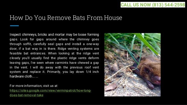 How Do You Remove Bats From House
Inspect chimneys, bricks and mortar may be loose forming
gaps. Look for gaps around where the chimney goes
through soffit, carefully seal gaps and install a one-way
door, if a bat way in is there. Ridge venting systems are
feasible bat entrances. When looking at the ridge vent
closely you'll usually find the plastic ridge vents deform
leaving gaps, I've seen where varmints have chewed a gap
in the vent. I will do away with the previous roof vent
system and replace it. Primarily, you lay down 1/4 inch
hardware cloth... ...
For more information, visit us at
https://sites.google.com/view/verminpatrol/how-long-
does-bat-removal-take
CALL US NOW (813) 544-2598
 