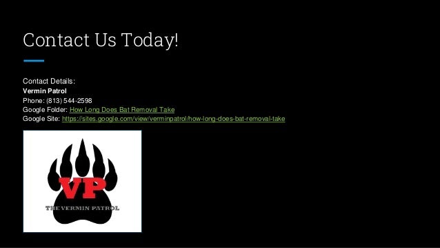 Contact Us Today!
Contact Details:
Vermin Patrol
Phone: (813) 544-2598
Google Folder: How Long Does Bat Removal Take
Google Site: https://sites.google.com/view/verminpatrol/how-long-does-bat-removal-take
 