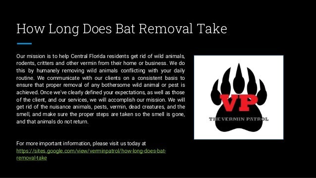 How Long Does Bat Removal Take
Our mission is to help Central Florida residents get rid of wild animals,
rodents, critters and other vermin from their home or business. We do
this by humanely removing wild animals conflicting with your daily
routine. We communicate with our clients on a consistent basis to
ensure that proper removal of any bothersome wild animal or pest is
achieved. Once we've clearly defined your expectations, as well as those
of the client, and our services, we will accomplish our mission. We will
get rid of the nuisance animals, pests, vermin, dead creatures, and the
smell, and make sure the proper steps are taken so the smell is gone,
and that animals do not return.
For more important information, please visit us today at
https://sites.google.com/view/verminpatrol/how-long-does-bat-
removal-take
 