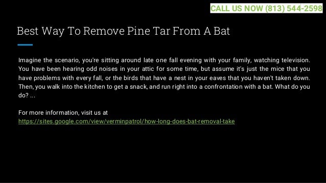 Best Way To Remove Pine Tar From A Bat
Imagine the scenario, you're sitting around late one fall evening with your family, watching television.
You have been hearing odd noises in your attic for some time, but assume it's just the mice that you
have problems with every fall, or the birds that have a nest in your eaves that you haven't taken down.
Then, you walk into the kitchen to get a snack, and run right into a confrontation with a bat. What do you
do? ...
For more information, visit us at
https://sites.google.com/view/verminpatrol/how-long-does-bat-removal-take
CALL US NOW (813) 544-2598
 