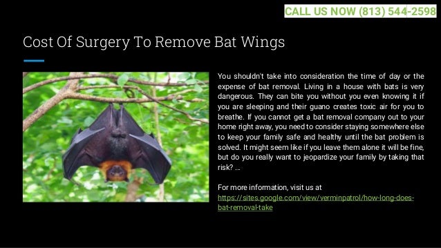Cost Of Surgery To Remove Bat Wings
You shouldn't take into consideration the time of day or the
expense of bat removal. Living in a house with bats is very
dangerous. They can bite you without you even knowing it if
you are sleeping and their guano creates toxic air for you to
breathe. If you cannot get a bat removal company out to your
home right away, you need to consider staying somewhere else
to keep your family safe and healthy until the bat problem is
solved. It might seem like if you leave them alone it will be fine,
but do you really want to jeopardize your family by taking that
risk? ...
For more information, visit us at
https://sites.google.com/view/verminpatrol/how-long-does-
bat-removal-take
CALL US NOW (813) 544-2598
 