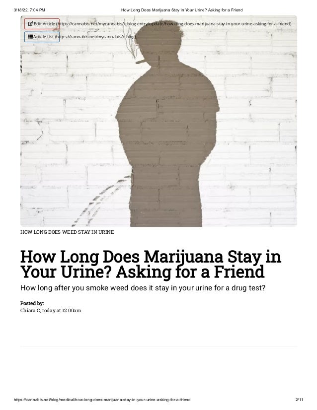 3/18/22, 7:04 PM How Long Does Marijuana Stay in Your Urine? Asking for a Friend
https://cannabis.net/blog/medical/how-long-does-marijuana-stay-in-your-urine-asking-for-a-friend 2/11
HOW LONG DOES WEED STAY IN URINE
How Long Does Marijuana Stay in
Your Urine? Asking for a Friend
How long after you smoke weed does it stay in your urine for a drug test?
Posted by:

Chiara C, today at 12:00am
 Edit Article (https://cannabis.net/mycannabis/c-blog-entry/update/how-long-does-marijuana-stay-in-your-urine-asking-for-a-friend)
 Article List (https://cannabis.net/mycannabis/c-blog)
 