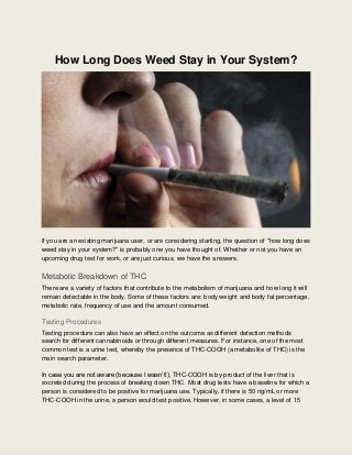 How Long Does Weed Stay in Your System?
If you are an existing marijuana user, or are considering starting, the question of "how long does
weed stay in your system?" is probably one you have thought of. Whether or not you have an
upcoming drug test for work, or are just curious, we have the answers.
Metabolic Breakdown of THC
There are a variety of factors that contribute to the metabolism of marijuana and how long it will
remain detectable in the body. Some of these factors are: body weight and body fat percentage,
metabolic rate, frequency of use and the amount consumed.
Testing Procedures
Testing procedure can also have an effect on the outcome as different detection methods
search for different cannabinoids or through different measures. For instance, one of the most
common test is a urine test, whereby the presence of THC-COOH (a metabolite of THC) is the
main search parameter.
In case you are not aware (because I wasn’t!), THC-COOH is by-product of the liver that is
excreted during the process of breaking down THC. Most drug tests have a baseline for which a
person is considered to be positive for marijuana use. Typically, if there is 50 ng/mL or more
THC-COOH in the urine, a person would test positive. However, in some cases, a level of 15
 