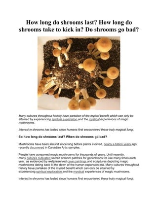 How long do shrooms last? How long do
shrooms take to kick in? Do shrooms go bad?
Many cultures throughout history have partaken of the myriad benefit which can only be
attained by experiencing spiritual exploration and the mystical experiences of magic
mushrooms.
Interest in shrooms has lasted since humans first encountered these truly magical fungi.
So how long do shrooms last? When do shrooms go bad?
Mushrooms have been around since long before plants evolved, nearly a billion years ago,
recently discovered in Canadian Artic samples.
People have consumed magic mushrooms for thousands of years. Until recently,
many cultures cultivated sacred shroom patches for generations for use many times each
year, as evidenced by wellpreserved cave paintings and sculptures depicting magic
mushrooms dating back to the dawn of the human expansion era. Many cultures throughout
history have partaken of the myriad benefit which can only be attained by
experiencing spiritual exploration and the mystical experiences of magic mushrooms.
Interest in shrooms has lasted since humans first encountered these truly magical fungi.
 