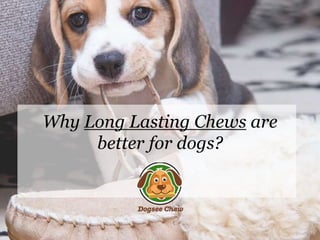 Why Long Lasting Chews are
better for dogs?
 