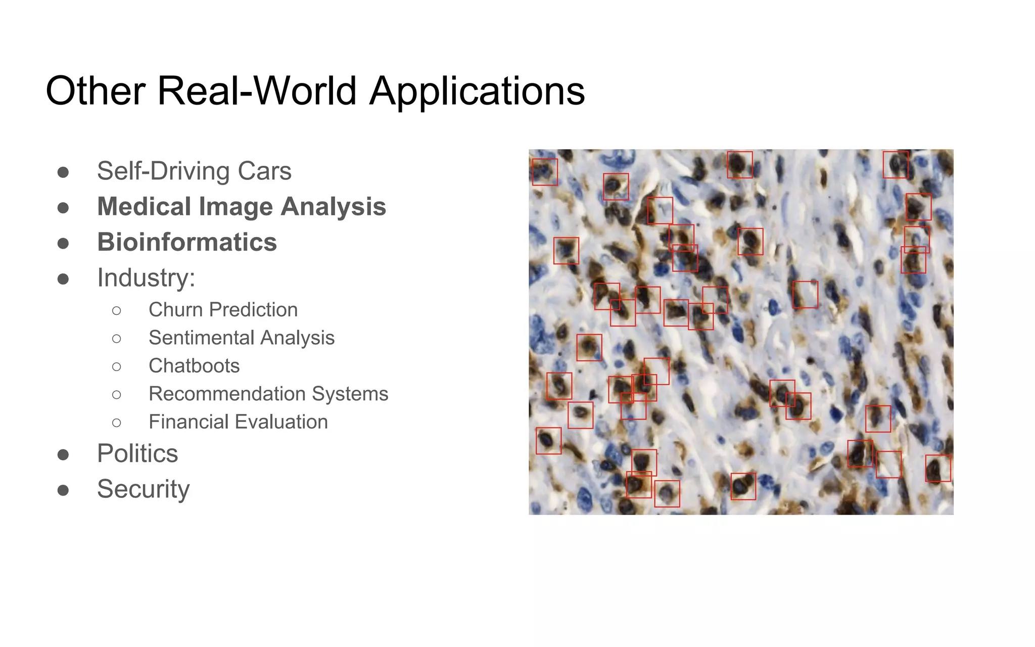 Other Real-World Applications
● Self-Driving Cars
● Medical Image Analysis
● Bioinformatics
● Industry:
○ Churn Prediction
○ Sentimental Analysis
○ Chatboots
○ Recommendation Systems
○ Financial Evaluation
● Politics
● Security
 