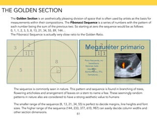THE GOLDEN SECTION 
The Golden Section is an aesthetically pleasing division of space that is often used by artists as the basis for 
measurements within their compositions. The Fibonacci Sequence is a series of numbers with the pattern of 
each number being the sum of the previous two. So starting at zero the sequence would be as follows: 
0, 1, 1, 2, 3, 5, 8, 13, 21, 34, 55, 89, 144… 
The Fibonacci Sequence is actually very close ratio to the Golden Ratio. 
Megauréter primario 
Poco frecuente, no 
hereditario 
Varones; lado 
izquierdo 
Asintomático, ITU, 
hematuria… 
The sequence is commonly seen in nature. This pattern and sequence is found in branching of trees, 
flowering artichokes and arrangement of leaves on a stem to name a few. These seemingly random 
patterns in nature also are considered to have a strong aesthetic value to humans 
The smaller range of the sequence (8, 13, 21, 34, 55) is perfect to decide margins, line heights and font 
sizes. The higher range of the sequence (144, 233, 377, 610, 987) can easily decide column widths and 
other section dimensions. 61 
 