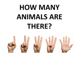 HOW MANY
ANIMALS ARE
THERE?

 