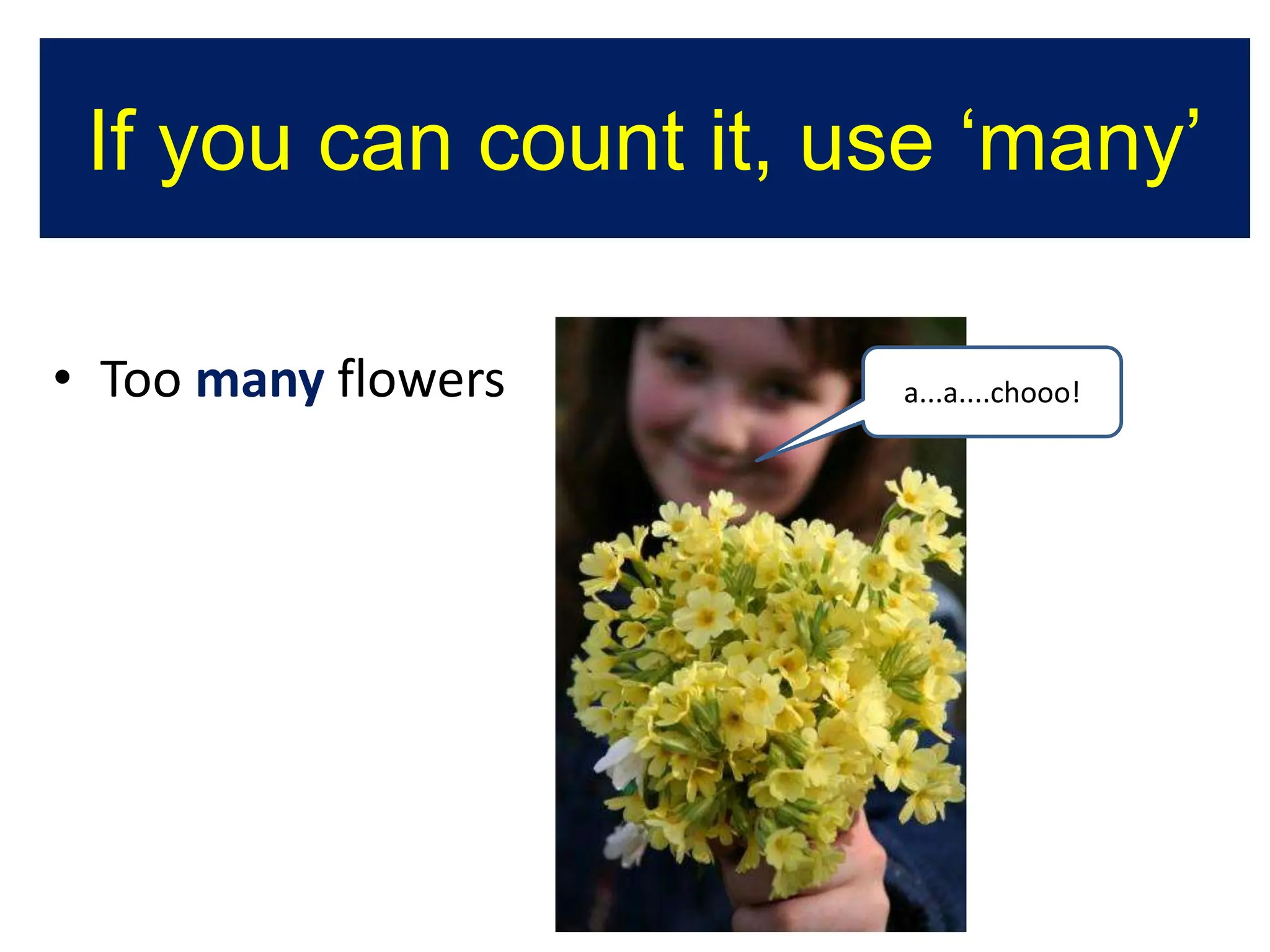 Countable and uncountable nouns - many and much | PPT