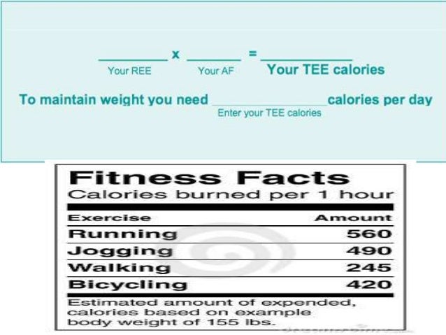 how to lose weight in a day start