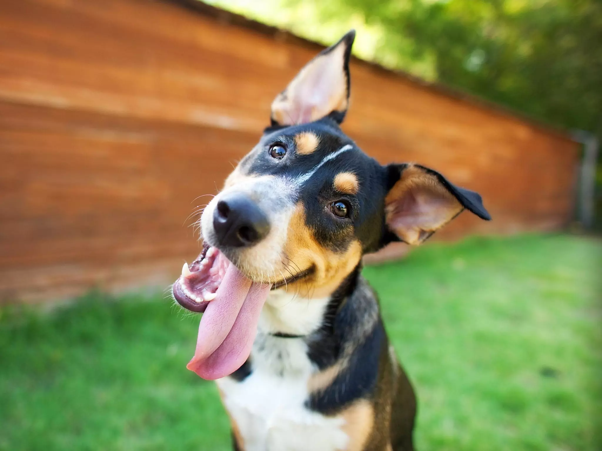 © 2016 Motorola Solutions, Inc.
 