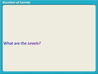 What are the Levels? 
 