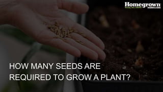 HOW MANY SEEDS ARE
REQUIRED TO GROW A PLANT?
 