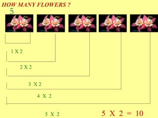 HOW MANY FLOWERS ?
1 X 2
2 X 2
3 X 2
4 X 2
5 X 2 5 X 2 = 10
5
 