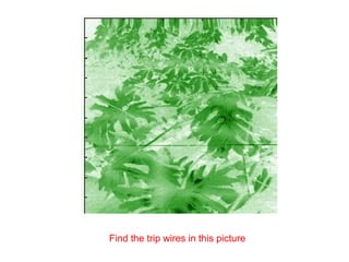 Find the trip wires in this picture
 