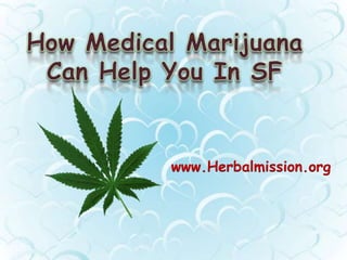 www.Herbalmission.org

 