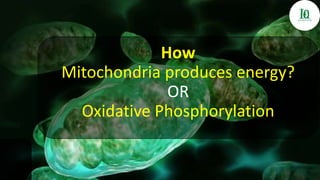 How
Mitochondria produces energy?
OR
Oxidative Phosphorylation
 