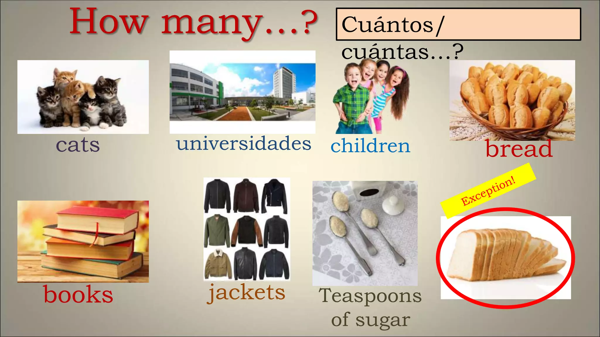 cats
How many…? Cuántos/
cuántas…?
books
universidades
jackets
children
Teaspoons
of sugar
bread
 