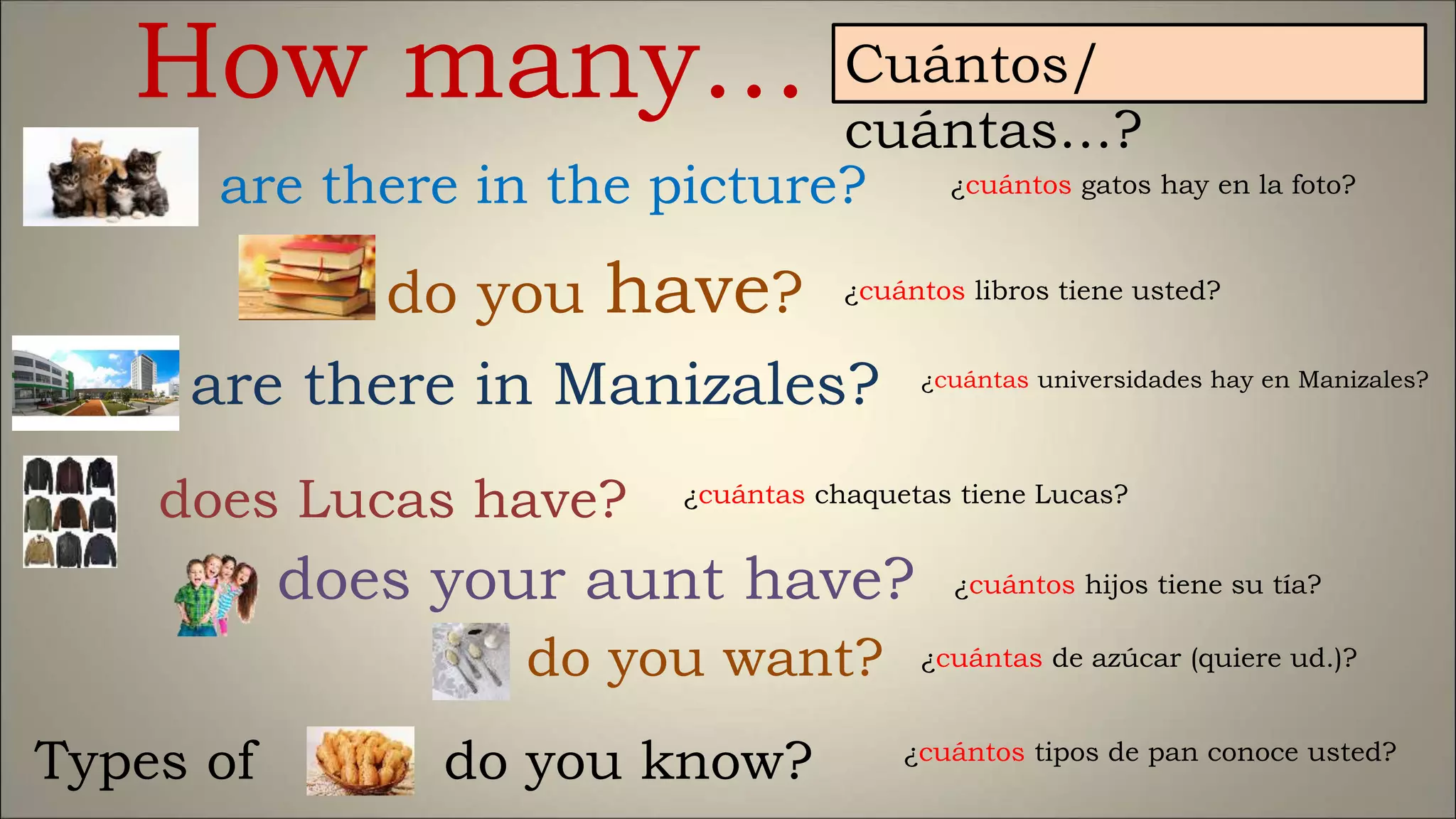 How many…
are there in the picture?
do you have?
are there in Manizales?
does Lucas have?
does your aunt have?
do you want?
do you know?
Cuántos/
cuántas…?
¿cuántos gatos hay en la foto?
¿cuántos libros tiene usted?
¿cuántas universidades hay en Manizales?
¿cuántas chaquetas tiene Lucas?
¿cuántos hijos tiene su tía?
¿cuántas de azúcar (quiere ud.)?
¿cuántos tipos de pan conoce usted?
Types of
 