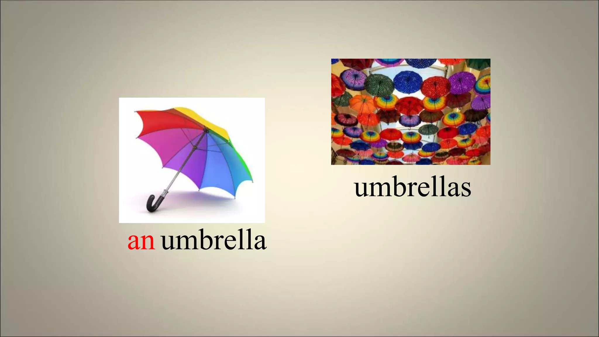 an umbrella
umbrellas
 