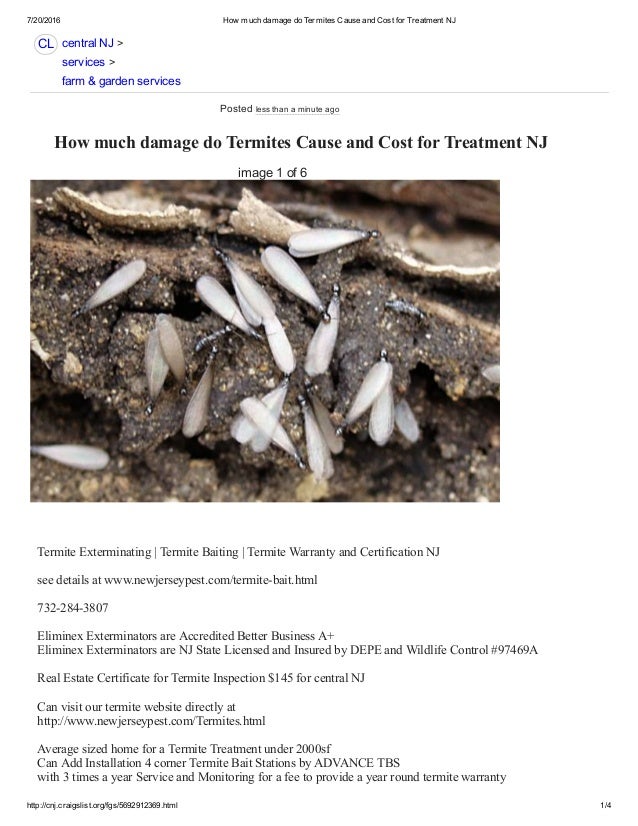 How Much Damage Do Termites Cause And Cost For Treatment Nj 732 284 3