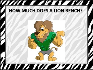 HHOOWW MMUUCCHH DDOOEESS AA LLIIOONN BBEENNCCHH?? 
 