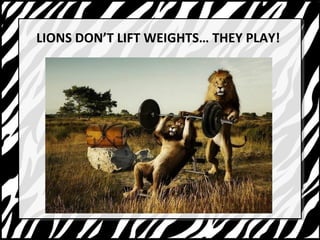 LIONS DONT LIFT WEIGHTS THEY PLAY! 
 