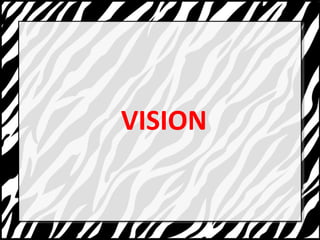 VISION 
 
