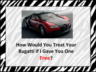 How Would You Treat Your 
Bugatti if I Gave You One 
Free? 
 