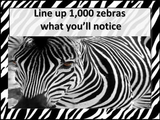 LLiinnee uupp 11,,000000 zzeebbrraass 
wwhhaatt yyoouullll nnoottiiccee 
 