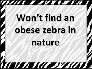 WWoonntt ffiinndd aann 
oobbeessee zzeebbrraa iinn 
nnaattuurree 
 