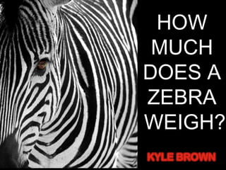 HOW 
MUCH 
DOES A 
ZEBRA 
WEIGH? 
 
