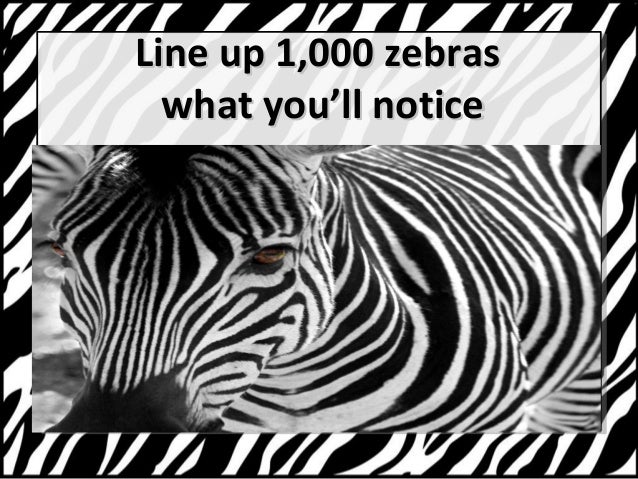 How much does a zebra weigh? With Kyle Brown at #OH2014