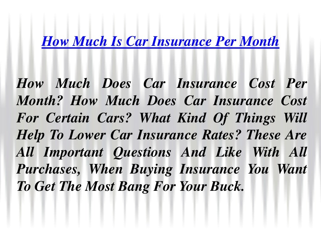 How much does car insurance cost