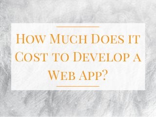 How Much Does it
Cost to Develop a
Web App?
 