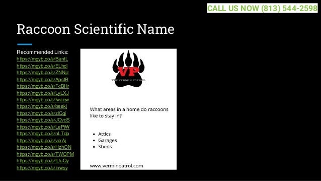 Raccoon Scientific Name
Recommended Links:
https://mgyb.co/s/BantL
https://mgyb.co/s/ELhcl
https://mgyb.co/s/ZNNjz
https://mgyb.co/s/ApctR
https://mgyb.co/s/FcBHr
https://mgyb.co/s/LyLXJ
https://mgyb.co/s/fwaqw
https://mgyb.co/s/beekj
https://mgyb.co/s/zlCqi
https://mgyb.co/s/JQvdS
https://mgyb.co/s/LePjW
https://mgyb.co/s/nLTdp
https://mgyb.co/s/vcrAj
https://mgyb.co/s/HzhON
https://mgyb.co/s/TWQPM
https://mgyb.co/s/tUuQy
https://mgyb.co/s/Inwsy
CALL US NOW (813) 544-2598
 