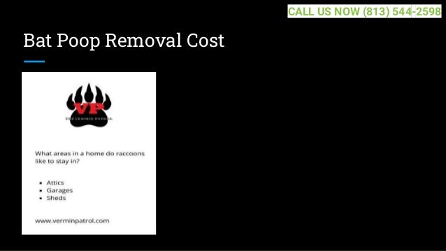 Bat Poop Removal Cost
CALL US NOW (813) 544-2598
 