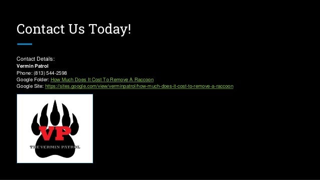 Contact Us Today!
Contact Details:
Vermin Patrol
Phone: (813) 544-2598
Google Folder: How Much Does It Cost To Remove A Raccoon
Google Site: https://sites.google.com/view/verminpatrol/how-much-does-it-cost-to-remove-a-raccoon
 