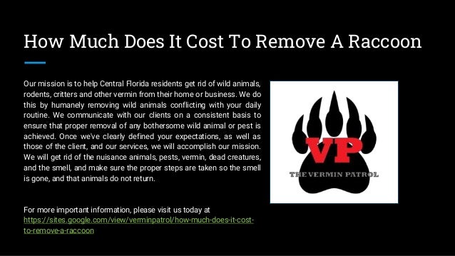 How Much Does It Cost To Remove A Raccoon
Our mission is to help Central Florida residents get rid of wild animals,
rodents, critters and other vermin from their home or business. We do
this by humanely removing wild animals conflicting with your daily
routine. We communicate with our clients on a consistent basis to
ensure that proper removal of any bothersome wild animal or pest is
achieved. Once we've clearly defined your expectations, as well as
those of the client, and our services, we will accomplish our mission.
We will get rid of the nuisance animals, pests, vermin, dead creatures,
and the smell, and make sure the proper steps are taken so the smell
is gone, and that animals do not return.
For more important information, please visit us today at
https://sites.google.com/view/verminpatrol/how-much-does-it-cost-
to-remove-a-raccoon
 