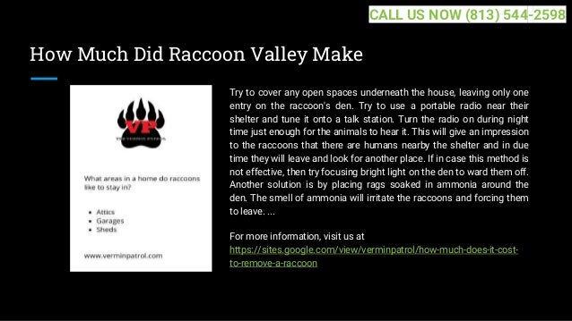 How Much Did Raccoon Valley Make
Try to cover any open spaces underneath the house, leaving only one
entry on the raccoon's den. Try to use a portable radio near their
shelter and tune it onto a talk station. Turn the radio on during night
time just enough for the animals to hear it. This will give an impression
to the raccoons that there are humans nearby the shelter and in due
time they will leave and look for another place. If in case this method is
not effective, then try focusing bright light on the den to ward them off.
Another solution is by placing rags soaked in ammonia around the
den. The smell of ammonia will irritate the raccoons and forcing them
to leave. ...
For more information, visit us at
https://sites.google.com/view/verminpatrol/how-much-does-it-cost-
to-remove-a-raccoon
CALL US NOW (813) 544-2598
 
