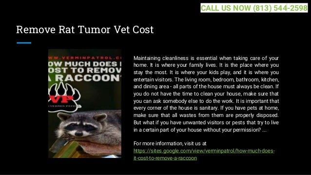Remove Rat Tumor Vet Cost
Maintaining cleanliness is essential when taking care of your
home. It is where your family lives. It is the place where you
stay the most. It is where your kids play, and it is where you
entertain visitors. The living room, bedroom, bathroom, kitchen,
and dining area - all parts of the house must always be clean. If
you do not have the time to clean your house, make sure that
you can ask somebody else to do the work. It is important that
every corner of the house is sanitary. If you have pets at home,
make sure that all wastes from them are properly disposed.
But what if you have unwanted visitors or pests that try to live
in a certain part of your house without your permission? ...
For more information, visit us at
https://sites.google.com/view/verminpatrol/how-much-does-
it-cost-to-remove-a-raccoon
CALL US NOW (813) 544-2598
 