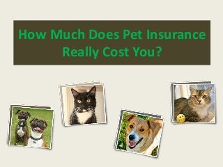 How Much Does Pet Insurance
Really Cost You?
 