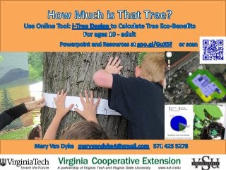 How Much is That Tree? Poster for 4-H Science Conference 2013