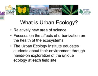 What is Urban Ecology?
•  Relatively new area of science
•  Focuses on the affects of urbanization on
   the health of the ecosystems
•  The Urban Ecology Institute educates
   students about their environment through
   hands-on exploration of the unique
   ecology at each field site.
 