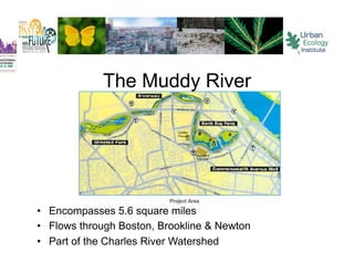 The Muddy River




•  Encompasses 5.6 square miles
•  Flows through Boston, Brookline & Newton
•  Part of the Charles River Watershed
 